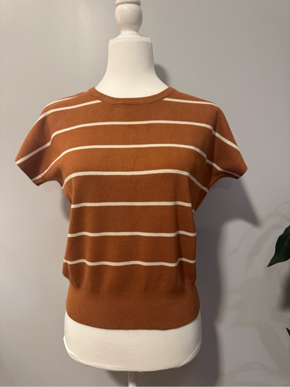 Staccato - Striped Short Sleeve Sweater Top - Rust - Size S